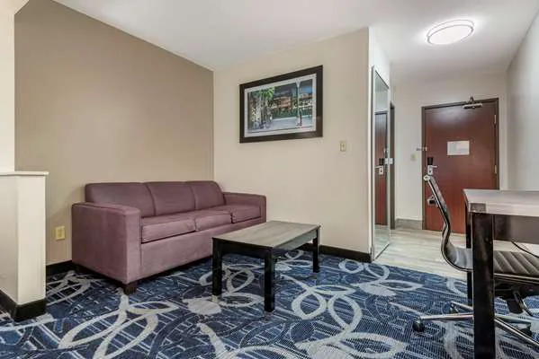 Comfort Inn & Suites Liverpool - Syracuse 4