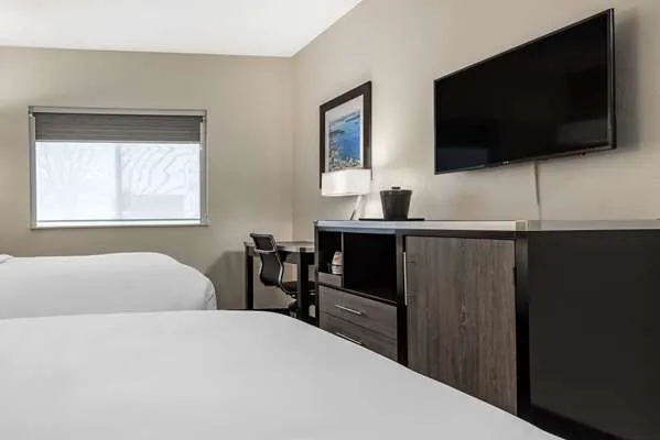 Comfort Inn & Suites Liverpool - Syracuse 4