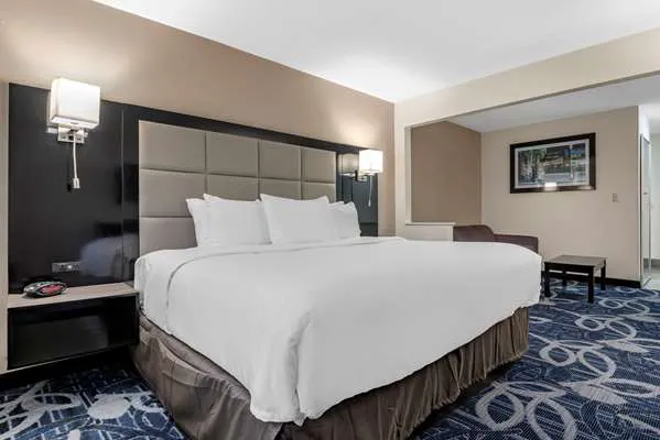 Comfort Inn & Suites Liverpool - Syracuse 4