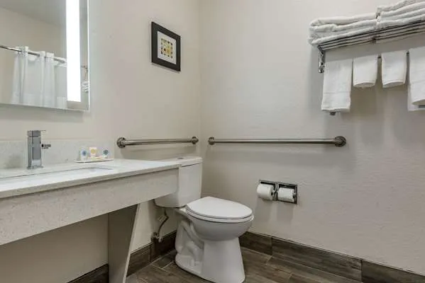 Comfort Inn & Suites Liverpool - Syracuse 4