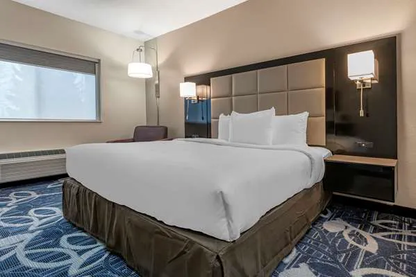 Comfort Inn & Suites Liverpool - Syracuse 4