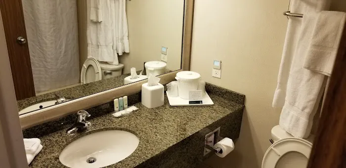 Clarion Hotel & Suites Riverfront 4