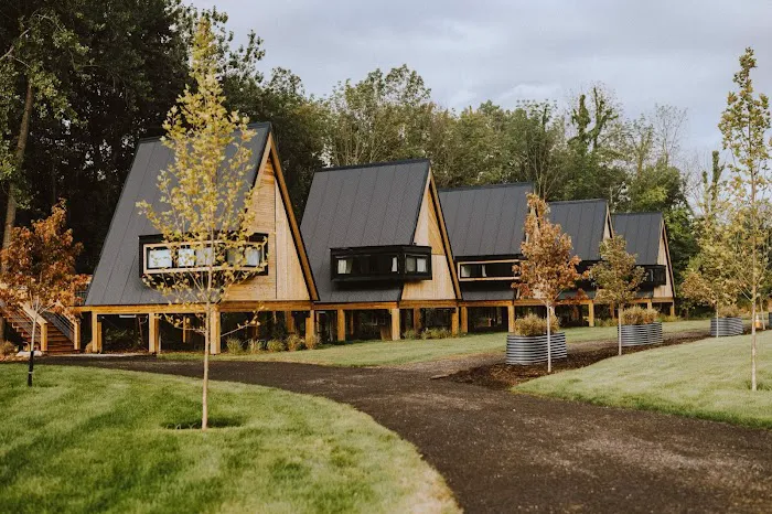 Finger Lakes Treehouse 4
