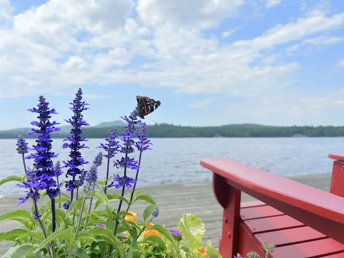 Paddler's Rest Lakefront Cabins and Motel 4