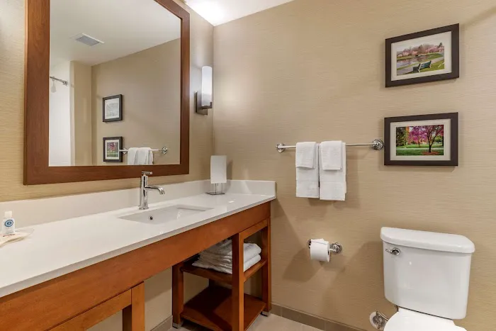 Comfort Suites Camp Hill-Harrisburg West 4