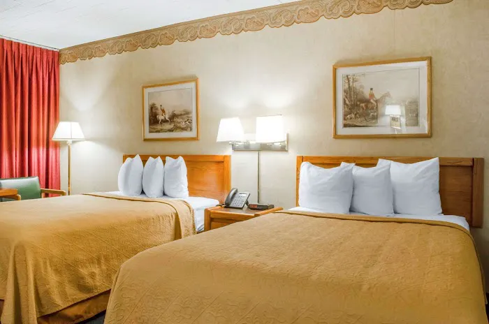 Quality Inn & Suites 4