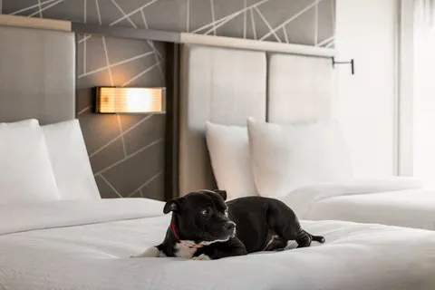 SpringHill Suites Camp Hill 4