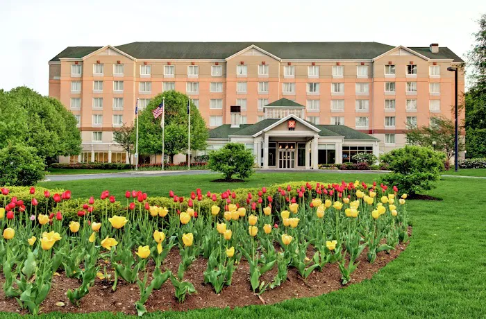 Hilton Garden Inn Albany Airport 4