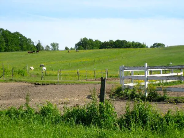 Horse Boarding/Motel 4