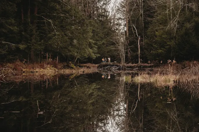 Vanderkamp NY 4