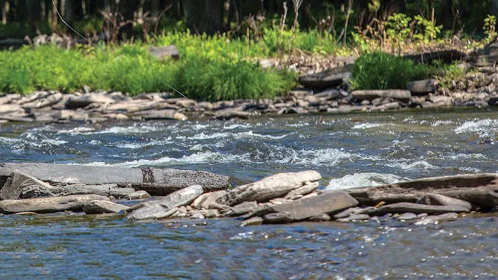 Douglaston Salmon Run 4