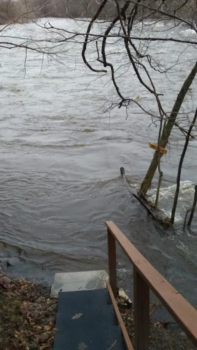 Douglaston Salmon Run 4