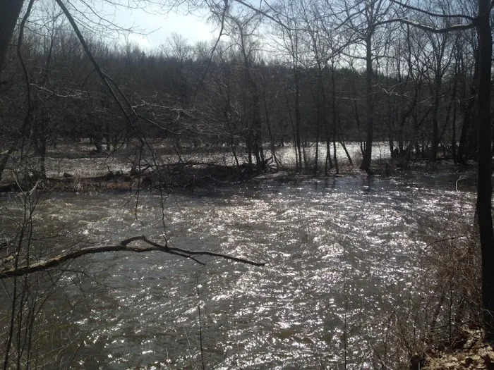 Douglaston Salmon Run 4