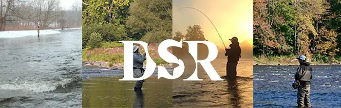 Douglaston Salmon Run 4