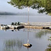 The Waldheim ico