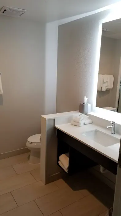 Holiday Inn Express & Suites Harrisburg S - Mechanicsburg 4