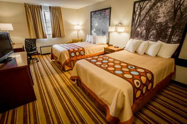 Super 8 by Wyndham State College 4