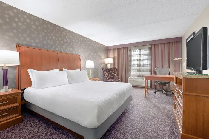Hilton Garden Inn Springfield, MA 5