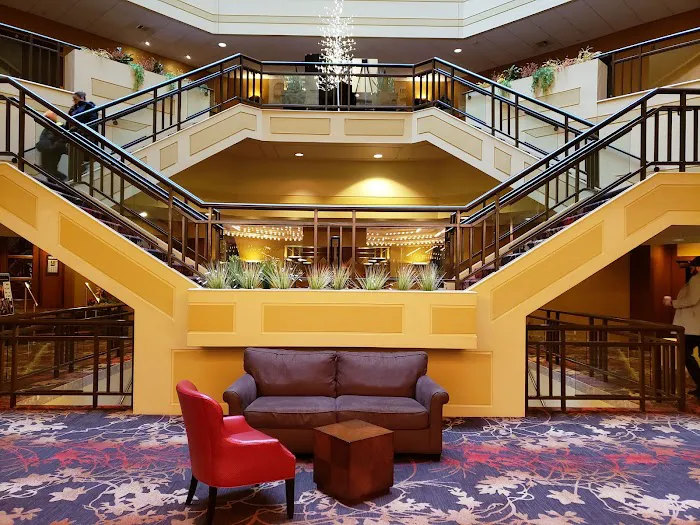 Sheraton Springfield Monarch Place Hotel 5
