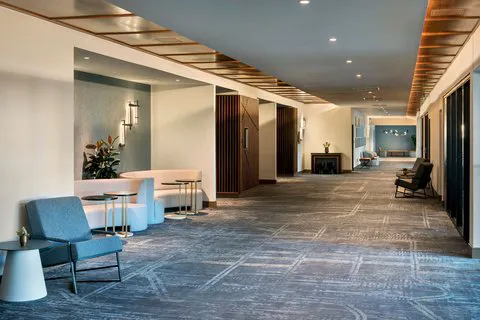 Marriott Springfield Downtown 5
