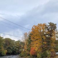 Salmon River Outfitters lodging ico
