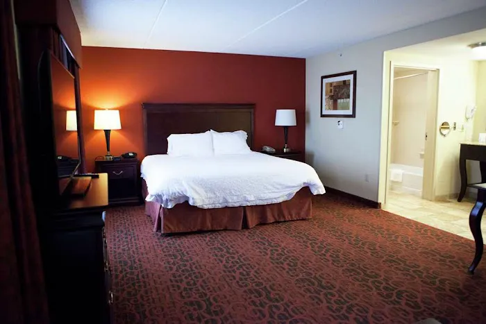 Hampton Inn Rochester-Webster 4