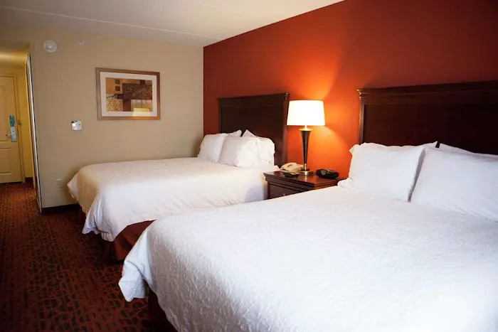 Hampton Inn Rochester-Webster 4