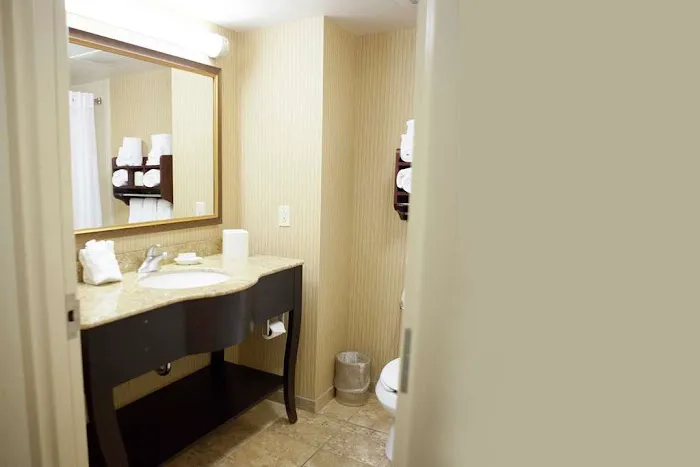 Hampton Inn Rochester-Webster 4
