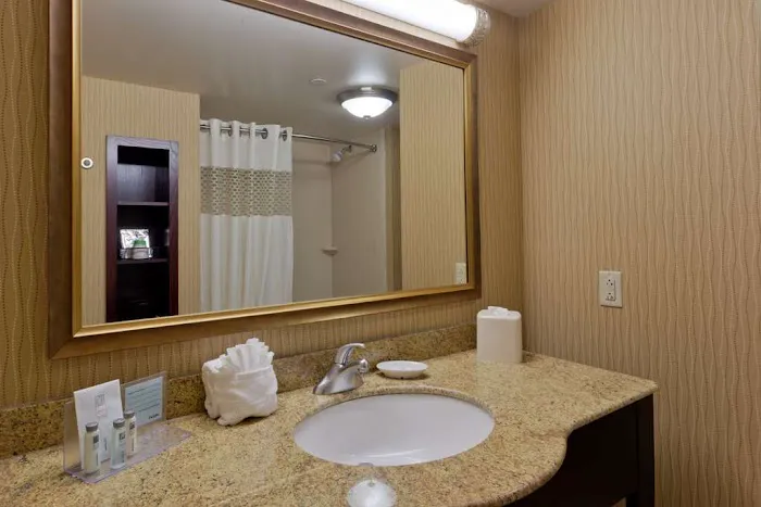 Hampton Inn Rochester-Webster 4