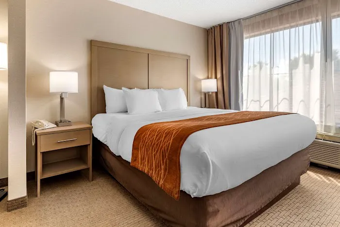 Comfort Inn & Suites Farmington - Victor 4