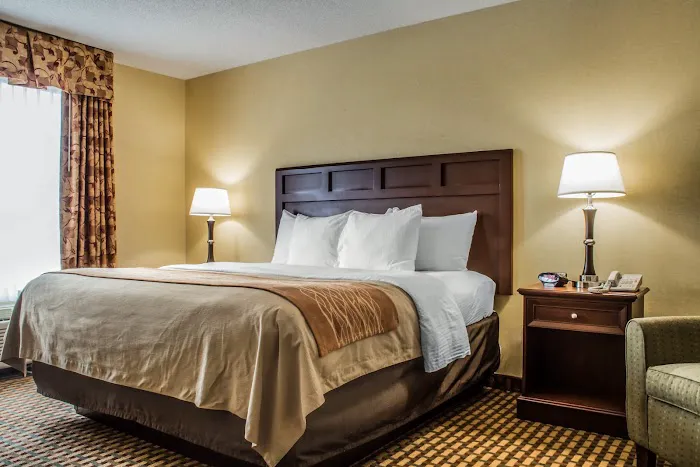 Comfort Inn & Suites Farmington - Victor 4