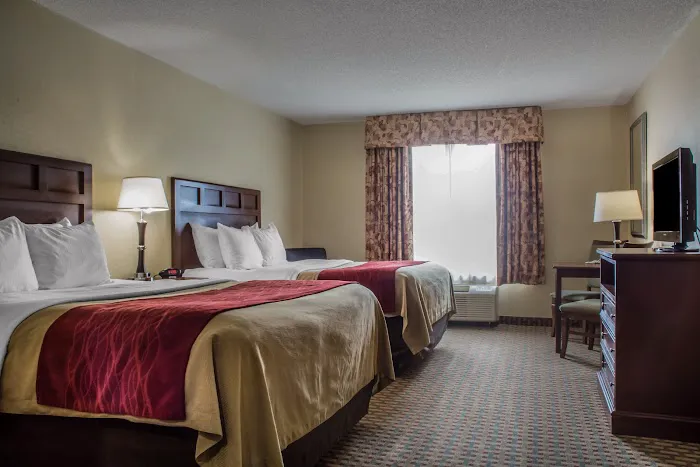 Comfort Inn & Suites Farmington - Victor 4