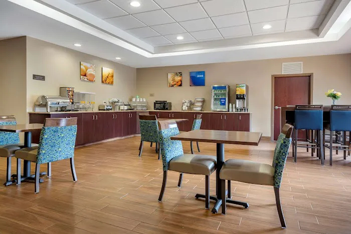 Comfort Inn & Suites Farmington - Victor 4