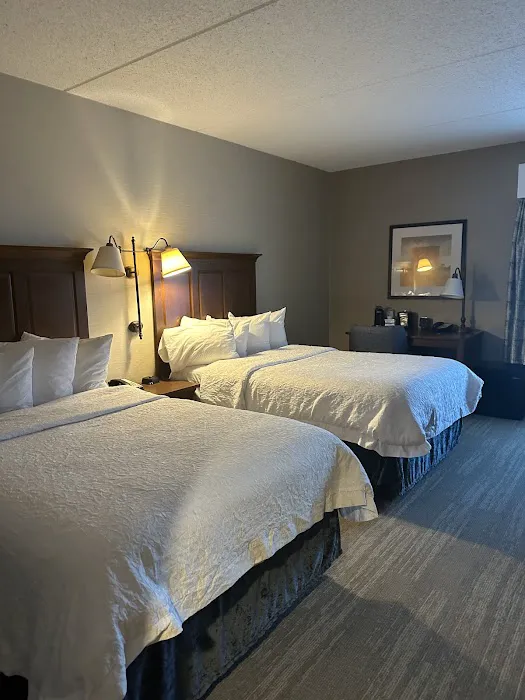 Hampton Inn & Suites Rochester/Victor 4