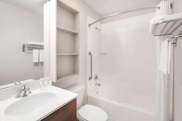 Microtel Inn & Suites by Wyndham Victor/Rochester 4