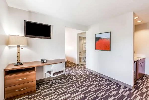 Microtel Inn & Suites by Wyndham Victor/Rochester 4