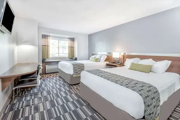 Microtel Inn & Suites by Wyndham Victor/Rochester 4