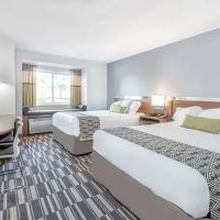 Microtel Inn & Suites by Wyndham Victor/Rochester ico