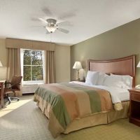 Homewood Suites by Hilton Rochester - Victor ico