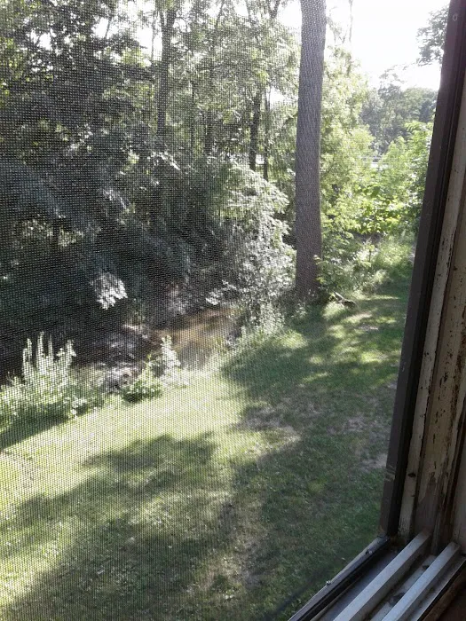 The Cedar Lodge 4