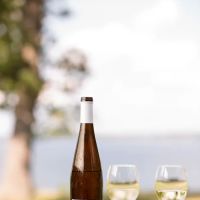 Belhurst Castle and Winery ico