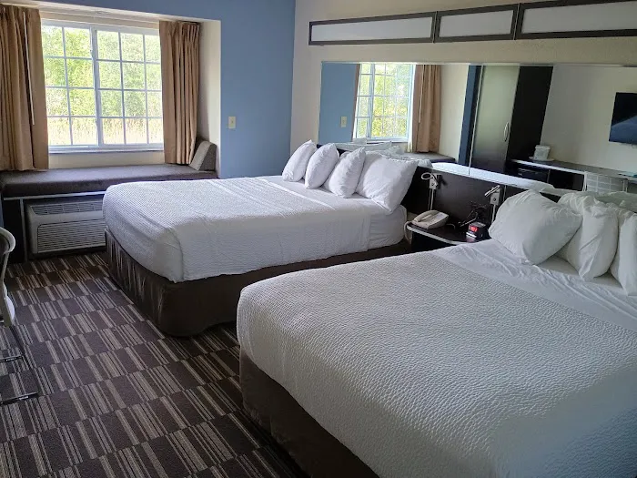 Microtel Inn & Suites by Wyndham Geneva 4