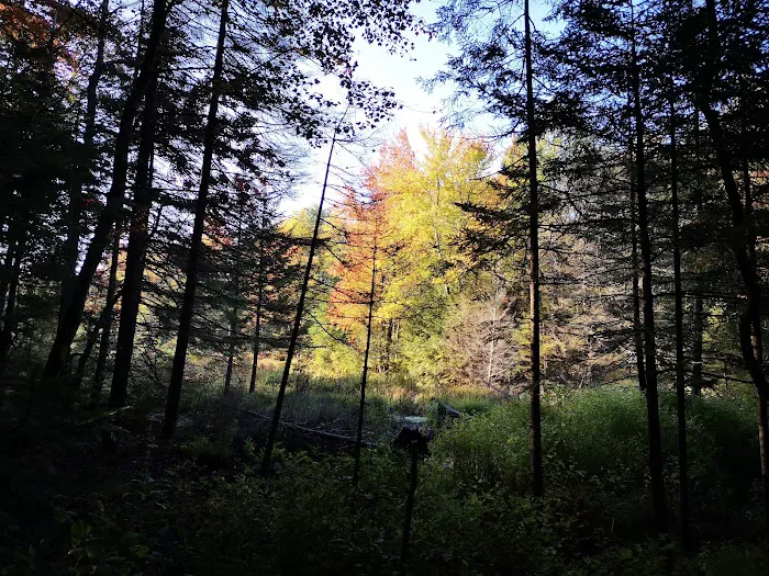 River Stone Lodge Vacation Rental 4