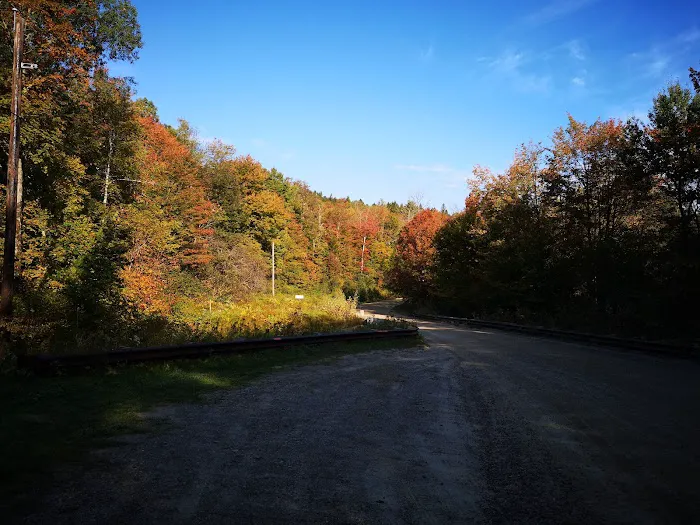 River Stone Lodge Vacation Rental 4