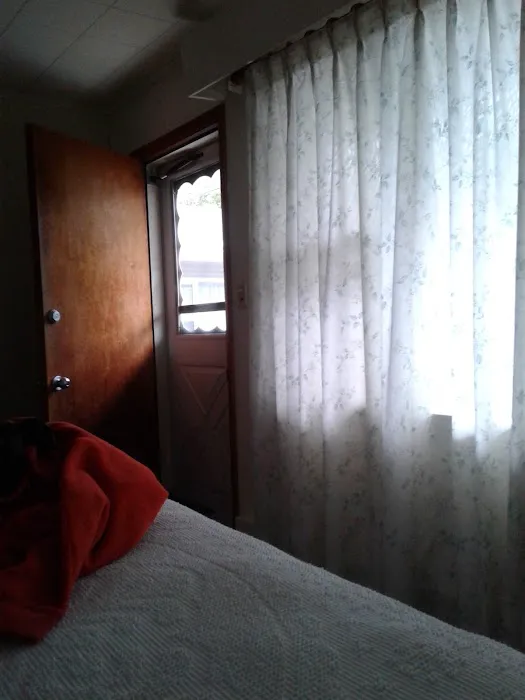 Park Motor Inn 4