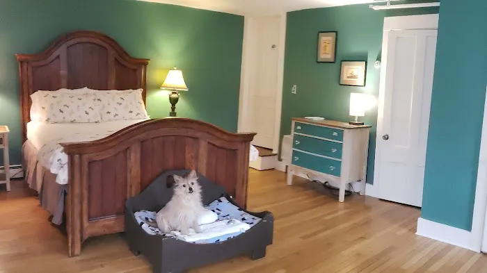 The Paw House Inn & Dog Friendly Cottages 5