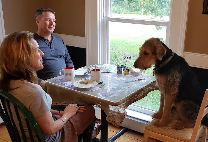 The Paw House Inn & Dog Friendly Cottages 5