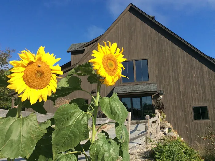 Mountain Top Resort 4