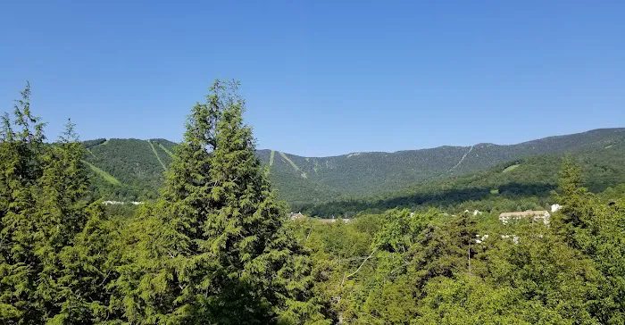 The Bridges Vermont Resort & Tennis Club 4