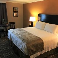 The Lodge at Headwaters ico
